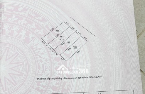 CHÍNH CHỦ BÁN GẤP ĐẤT THỔ CƯ SẴN SỔ TẠI ĐẠI MẠCH-ĐÔNG ANH